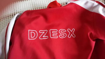 德州小学霸的妈妈们为何都在寻找“绣自己学校”校徽？以儿甲为中心的定制大揭秘